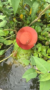 24K views · 75 reactions | Primitive Fishing | MR Fishing Life | Facebook