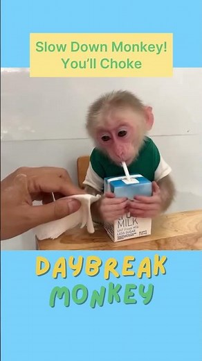 Slow Down Monkey! You’ll Choke 😅