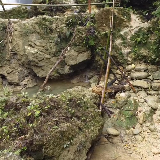 At Guadalupe Alegria Cebu | by chadou