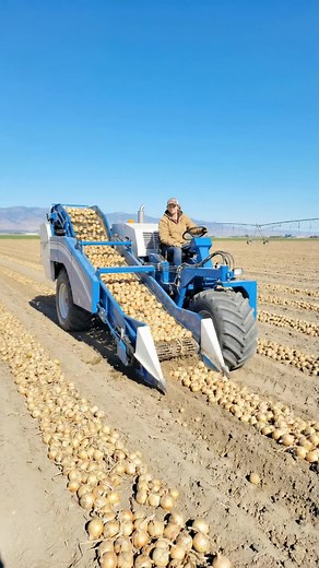 Next Generation Agricultural Technology Insights