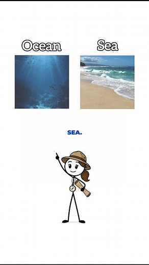 Ocean vs Sea — What's the Difference?
