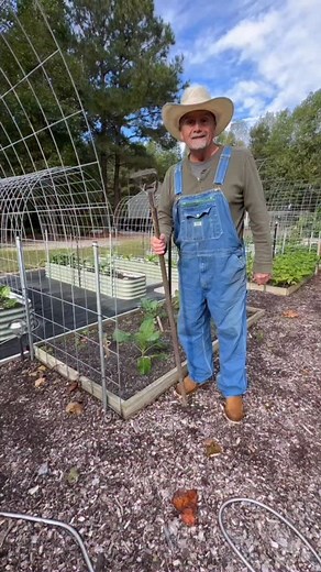 2K views · 1.2K reactions | PawPaw’s Favorite Hoe! The Stirrup Hoe. #pawpawridge #garden #gardentips #homestead #farm #homesteadlife | PawPaw Ridge Homestead | Facebook