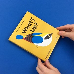 2.8K views · 113 reactions | New on CP Kids: 'What's Up?' A lovely Flip Flap Pop-Up book which is available through Counter-Print.co.uk #counterprintbooks #whatsup #popupbook | Counter-Print | Facebook