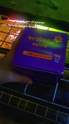 Probiotic Review for Picky Dogs with Sensitive Stomachs