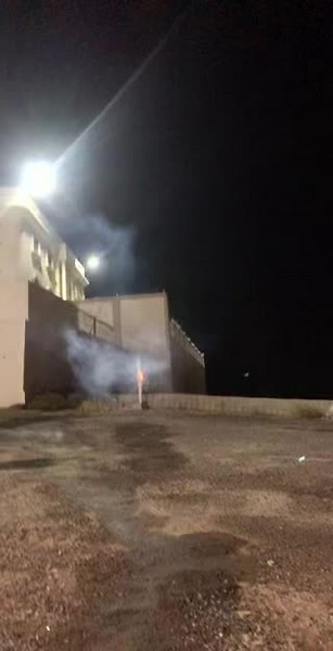 Captivating Firework Display in Nighttime Sky