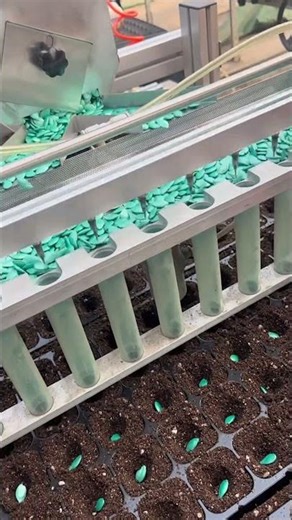 Professional and Fast Tray Preparation with an Automated Seeding Line