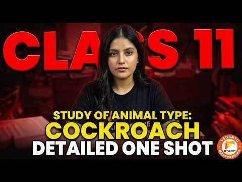 Study of Animal type: Cockroach Class 11 Biology HSC Board | HSC Board Biology Class 11 One Shot
