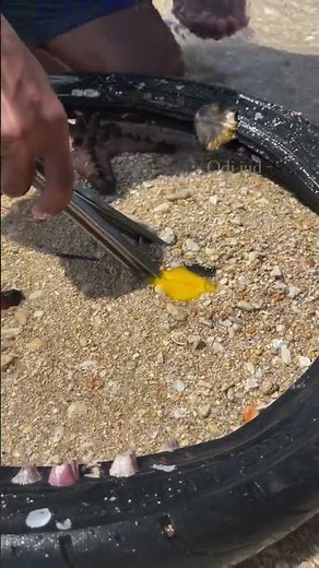 Man Catches Giant Fish with Bare Hands 😱 | Crazy Fishing Skill!