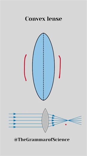 🔍 Concave vs Convex Lens | Class 10 Physics Short Concept #federalboard #nationalbookfoundation
