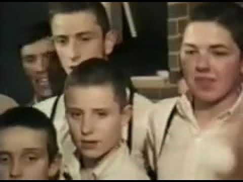 WORLD OF SKINHEAD FULL VIDEO