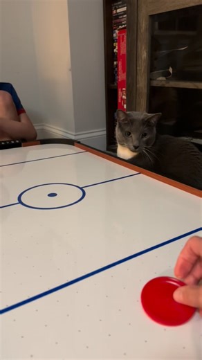 Watch Speedy the Cat play air hockey 🏒 he definitely has a past life of mischief🤣 #airhockey #hockey #cat #meow #catlife #Speedy #SpeedytheCat #funny #defender #laugh #reels #trendingreels #fbreels #reelsfacebook #reelsinstagram #reelsfypシ #reelsvideo #reelsvideoシ #trending #viral #video #viralvideo #trendingpost #trendingvideo #reelsfb #reelsfbシ #reelsviral #viralreels #foryoupageシ #fypシ | K-9 Joker & K-9 Bane