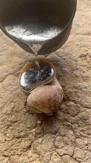 Snail Shell Casting DIY Craft #reels #fb #fyp #fypシ #reel #restoration #viralvideo #viral #video #foryou #newfeed #pageforyou #diy #restore #art #reelsviralfb #fbreelsvideo #virals #viralpost #viralpost2024 #diycrafts #craft #crazy #satisfying #tiktok #tiktokviral #tips #tools #shells #snails | Natalie Davis