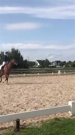 😰 Bucking, rearing, shying, refusing the trailer… That’s WHAT your horse is doing, but have you ever wondered WHY? 👇 These behaviors aren’t random. They’re signs of missing information. This is where groundwork makes a difference. It allows you to truly see your horse. Free from the influence of the saddle, bridle, or rider’s past experiences. Groundwork helps you figure out what’s really causing your horse’s behavior and gives you a clearer understanding of how you can help him feel confident