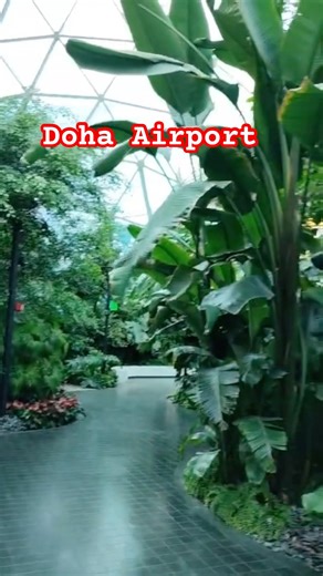 Doha Airport #shortsfeed #airport #shorts