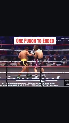 One Punch to Ended #systema #boxing #knockout #tinju #bloodhound | Dhany Makita