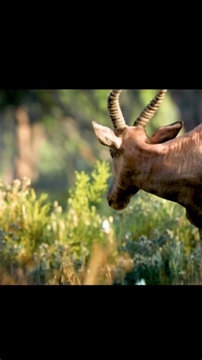 12K views · 361 reactions | What's is wrong with that guy? Simba and his friends Timon and Pumba very funny guys #fypシ #fypシ゚ #fyp #trend #happiness #simba #trend #happiness #simba | Prince Omoha Sampson Maduabuchi | Facebook