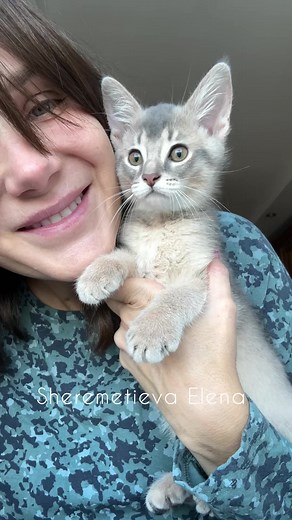 Elena Sheremetieva на TikTok