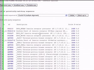 Bioinformatics Tutorials (Lesson 2):Using BLAST to ...
