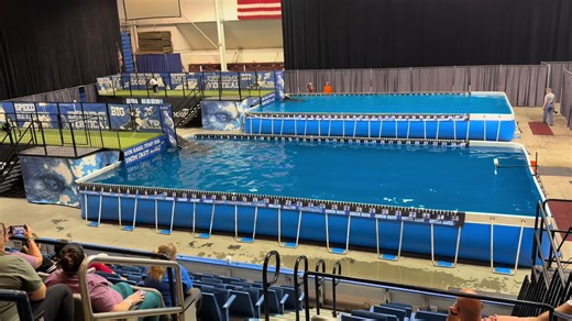 @DockDogs® World Championships! Qualifying Rounds IronDog Tier 3 today! First up- Speed Retrieve for Brynna! Let’s get this!!#fyp #blacklabrador #ddwc25 #speedretrieve #Irondog