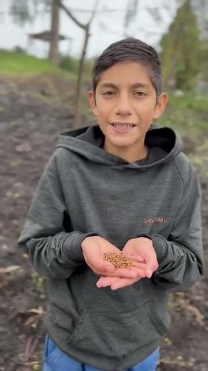 Learn how to grow cilantro at home, easy and fast.