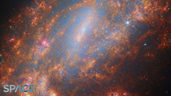 James Webb Space Telescope captures barred spiral galaxy NGC 1559