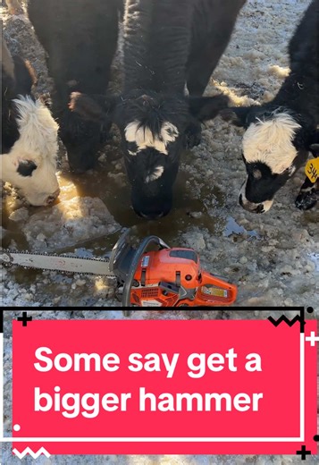 Winter Farm Hacks for Thawing Frozen Water Supply