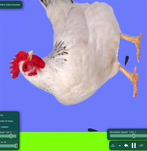 Death by a chicken s3