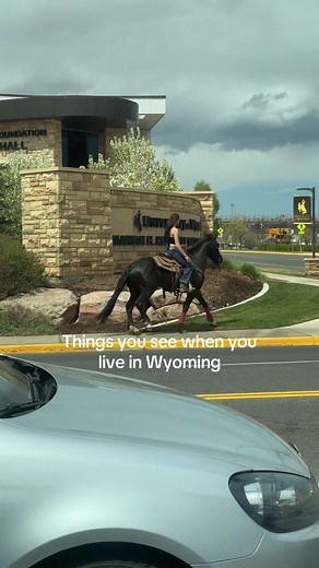 A Day in Laramie: Discover Wyoming's Charm