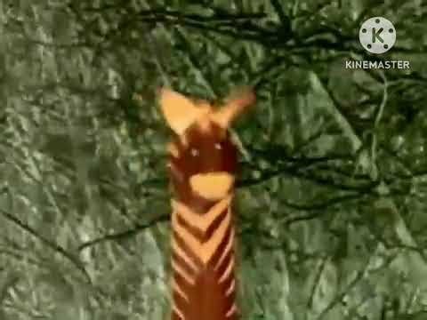 Baby Monet Conga Line in F Major 11