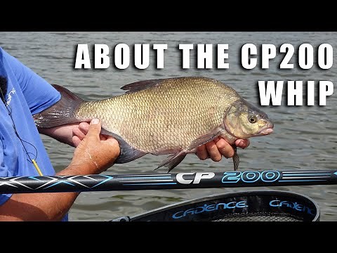 Cadence CP200 Whip