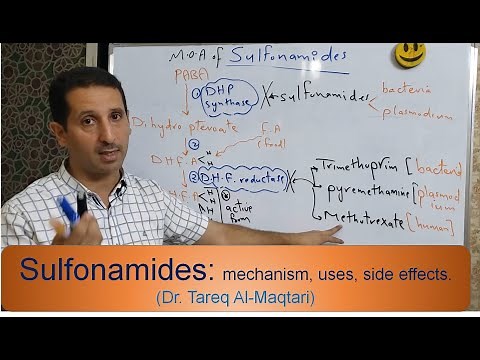 Antibiotics | 11 | Sulfonamides (mechanism, uses, side effects)