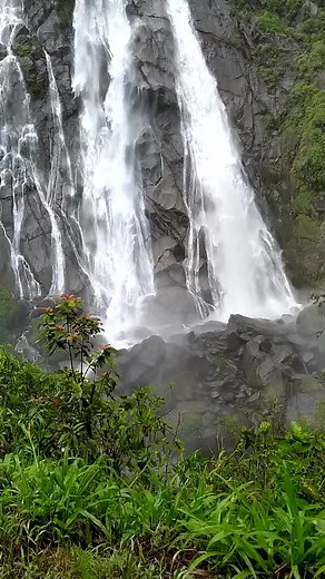 Majestic Waterfall in Lush Greenery: Nature's Beauty