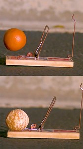 35K views · 171 reactions | Which is better? 樂 #slowmotion | Legendary Shots | Facebook