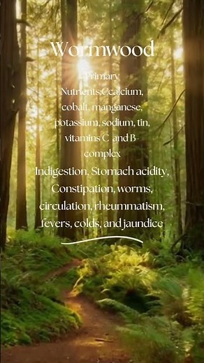 The magical benefits of Wormwood