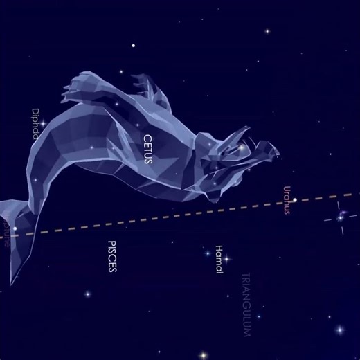 Witness 7 Planets & the Sun in Real Time