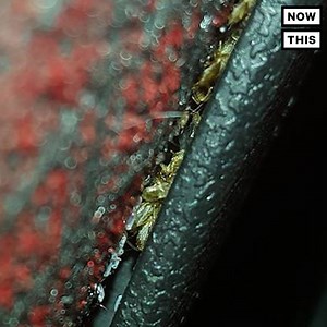 This woman's story might keep you away from the movies forever 🕷 | NowThis