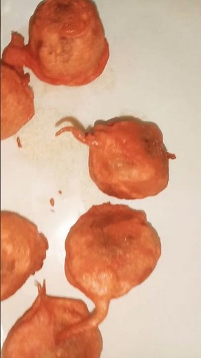 Evening snacks recipe 😋