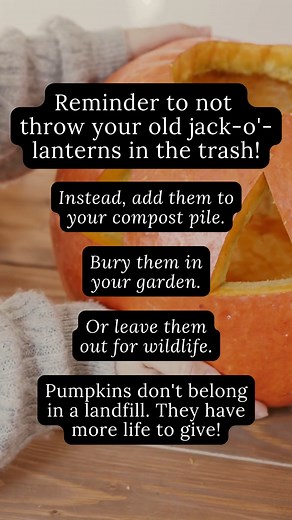 202 reactions · 55 shares | It’s that time of year when our Jack O’...