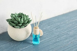 Can Reed Diffusers be Reused?