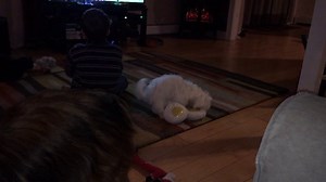 Lily humping