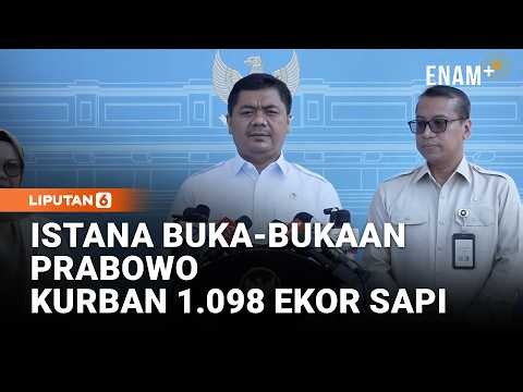 Istana Sebut Prabowo Kurban 1.098 Sapi di Idul Adha 2026, Satu Daerah Dapat Seekor| Liputan6