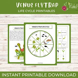 Life Cycle of a Venus Flytrap Worksheet- Plant Science Unit Study With Fun Facts