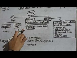 Class 9 chp - cell the fundamental unit of life part -2