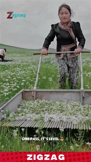 Simple & Efficient Manual Harvester for Picking and Collecting Herbs in Open Fields