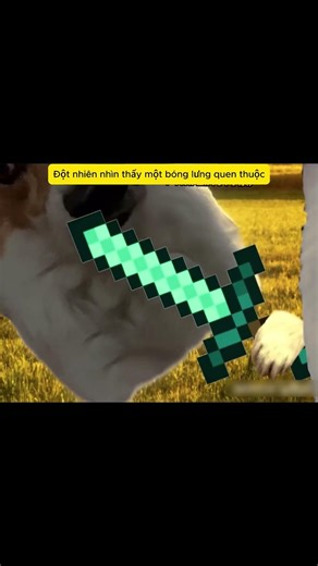 Khi bị kẻ địch bao vây #memes #memecats #funny #catmemes #haihuoc