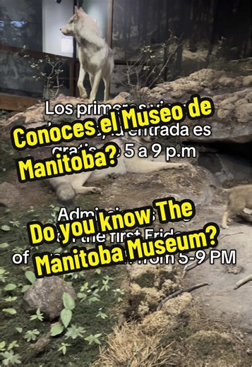 Explora el Museo de Manitoba: historia y cultura