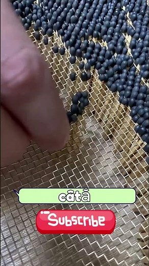 What does this MAN create from matches?