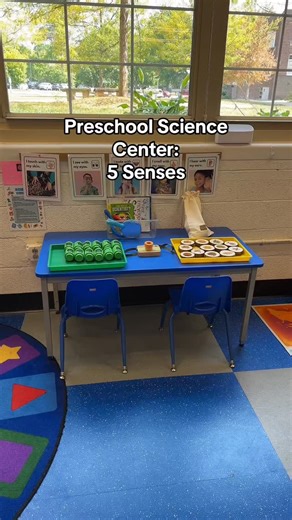 Preschool Vibes | Check out our preschool science center 🔬✨ We’re in our Five Senses theme, and I set it up with hands-on materials for exploring touch,... | Instagram