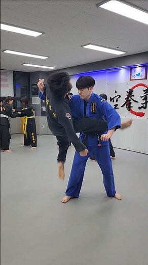 How to Perform the Sidewinder Flying Armbar #GongkwonYusul