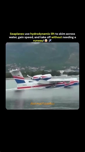 This Is How Seaplanes Use Water as Their Runway! 🤯✈️#short #viralshorts #aviation #seaplanes